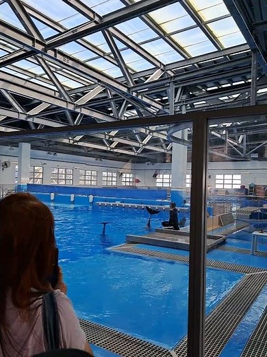 Hong Kong Ocean Park - Marine Mammal Breeding and Research Centre 海洋哺乳動物繁殖及研究中心 🐬
