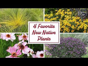 2026's Best New Plants: 4 Native Perennials for Sun #perennialgarden #nativeplants #pollinatorgarden
