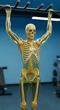 50 pull-ups every day for 30 days 😱 #zaptix #shorts