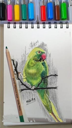 Realistic Parrot Drawing 🦜 | Easy Color Pencil Sketch | Step by Step Bird Art
