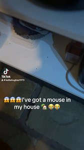 😱help 😭any suggestions?? #mouse #MouseHunt #crying 😭😭😭 | Kellie Hughes Hair Nails & Beauty Emporium