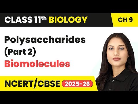Polysaccharides (Part 2) - Biomolecules | Class 11 Biology Chapter 9 | CBSE 2025-26