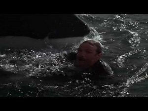 Free Willy 3 - Willy's Humanity