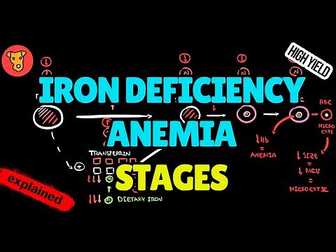 Iron Deficiency Anemia EXPLAINED: Stages & Diagnostic Markers (Serum Ferritin, TIBC, Serum Iron)