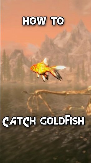 How To Catch Goldfish In Skyrim #fishing #skyrim #skyrimanniversaryedition #shorts