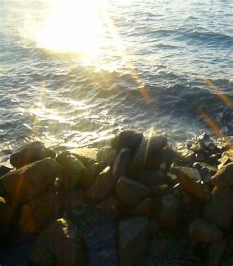 Embracing Self-Love: Why It's Essential for Happiness