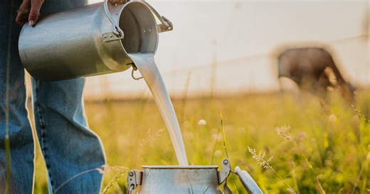 The growing raw milk movement