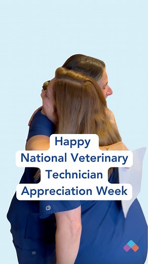 Happy National Veterinary Technician Week! 🎉 We want to extend a heartfelt thank you to all veterinary technicians! We're excited to share some special moments of our team reading heartfelt thank-you notes to and from their DVMs across VCA. Our hospitals simply could not operate without the dedication and expertise of our incredible veterinary technicians. Thank you for everything you do! #lifeatvca #VetTechWeek | VCA Animal Hospitals