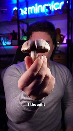 15K views · 580 reactions | Mushroom spores viewed through a HIGH POWERED MICROSCOPE! #mushroom #sceince #STEM #spores #fungi #mycelium | Oneminmicro | Facebook