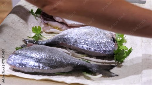 Cooking dorado fish, put fish on baking sheet covered with pita bread and parsley. Close-up, raw dorado fish.