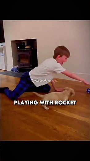 Harlen is the equestrian max verstapen 😂 ‪@HarlowLunaWhite‬