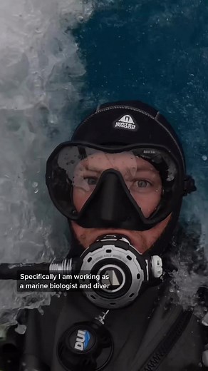 Marine Biologist and Diver in Antarctica: Exploring the Depths