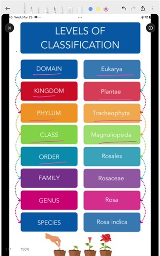 classification of Rose #biology #class12thbiologypaper2026 #neet #class12thbiologypaper2026mpboard