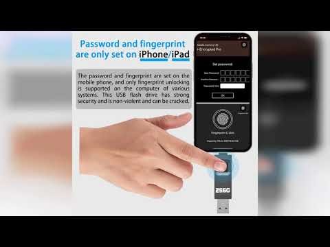 Review: YIGORN 256GB Encrypted USB Drive,Fingerprint Flash Drive,Secure Password Protected U D...