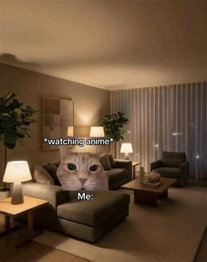 The doc’s face really funny😂 #meme #cat #funny #laugh #face