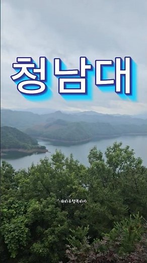 대통령이 사랑한 청남대, 직접 걸어보니 이런 풍경이었습니다 #청남대 #대청호 #충북여행 #국내여행 #힐링여행 #자연풍경 #숲길 #5060감성 #산책 #하루행복