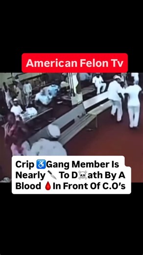 American Felon Tv on Instagram: "⚠️ Educational Purposes Only. Blood 🩸 Gang Member Slashes 🔪 Up A Rival Crip ♿️ In An Undisclosed NYS Prison Mess Hall. #americanfelontv #felon #prison #gangs #fyp"