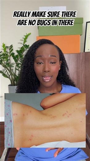 Understanding Bed Bugs and Effective Strategies for Eradication