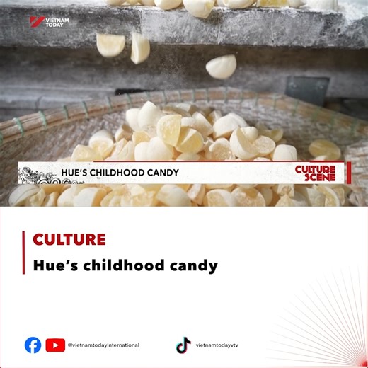 Areca candy, a once-beloved childhood treat in Huế, has an ivory shell with a golden centre like a ripe areca nut. Though now rare, it lives on through a few artisans, preserving both the craft and Huế’s sweet memories. #vietnamtoday #Hue #ArecaCandy #VietnameseSnacks #HueCuisine #SweetMemories #CulturalHeritage #TraditionalCandy | Vietnam Today
