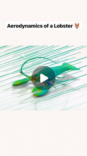 SIMULIA on Instagram: "Why be shellfish when we could share the aerodynamics of a LOBSTER 🦞 with the world?! What should we simulate next? Credits: Jakub Michalski #3DEXPERIENCE #SIMULIA #simulation #lobster #aerodynamics #engineering"