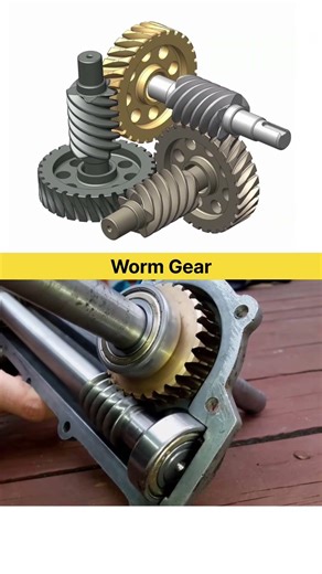 Worm gear #workingprinciple #wormgear #gear #geardesign #science #mechanical #mechanism #mechanic