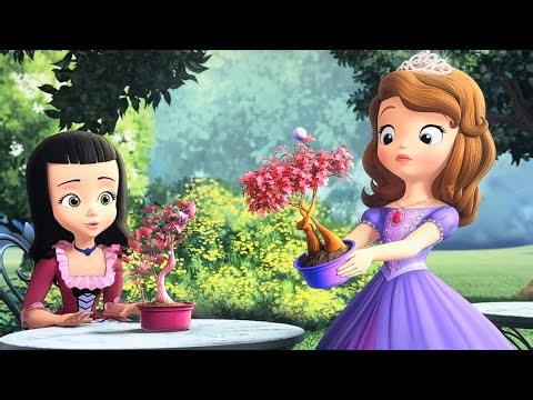 Sofia the First | Berry Tree Personality ￼🌴