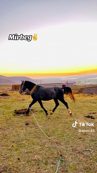 Keşfet Beni: Eğlenceli Anlar ve Paylaşımlar