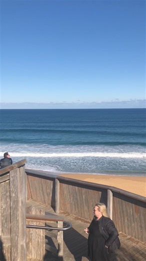 Logan’s Beach - The Whales are here 🎉