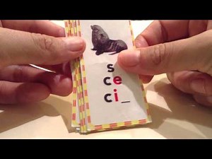 Sound Spelling Cards