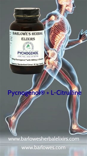 Barlowesherbalelixirs Pycnogenol® French Maritime Pine Bark #barlowesherbalelixirs #healthyliving