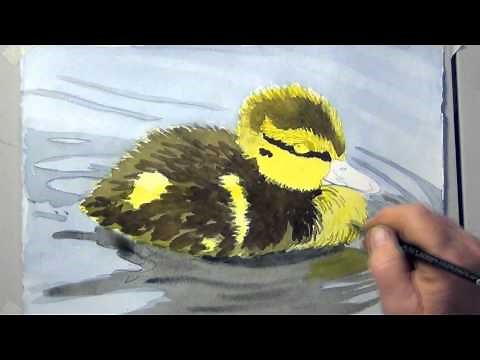 How To Paint A Duckling In Watercolor