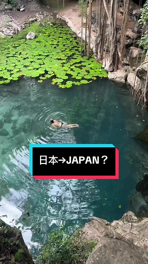 メキシコのメリダとセノーテの魅力