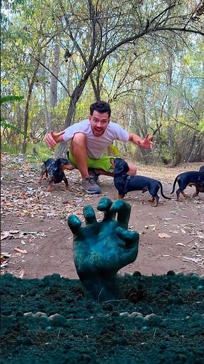 El zombie sale de la Tierra 🧟‍♂️💀 #perrosalchicha #zombie