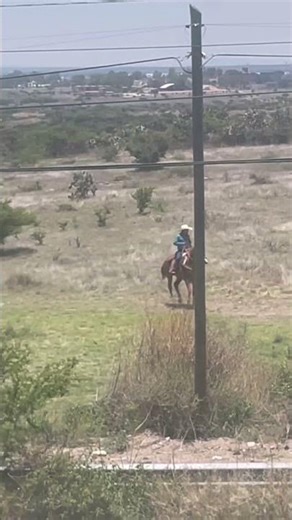 Horses, Mountains & Peaceful Living 🐎 | San Miguel de Allende Lifestyle Tour
