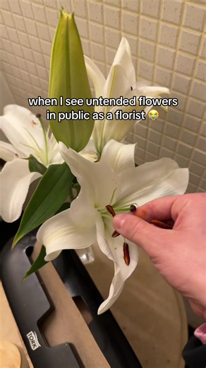 Florist's Pet Peeve: Untended Flowers in Public