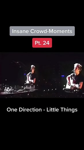 Interactive One Direction Concert: Insane Fan Participation!