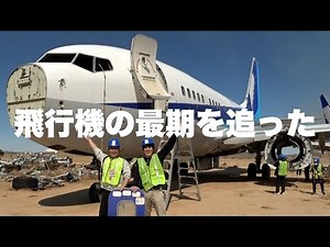 【ANAホールディングス株式会社/全日本空輸株式会社】事業化と人材育成。両軸だからこそ羽ばたくイノベーション