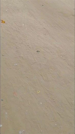 ngabi 6ix9ine 🇱🇷 (@ngabi.6ix9ine)’s videos with son original - Dji bebe