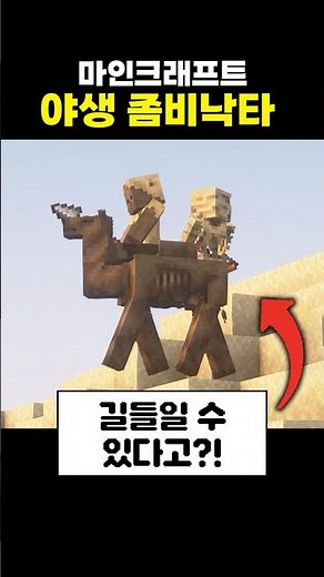 Taming a Zombie Camel in Minecraft