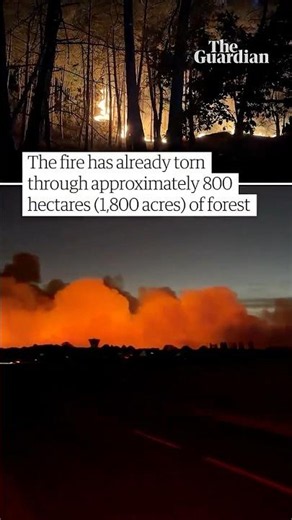 Huge wildfire breaks out in forest near Paris