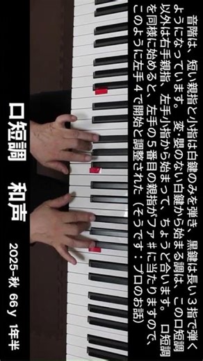 （説明：ロ短調和声）