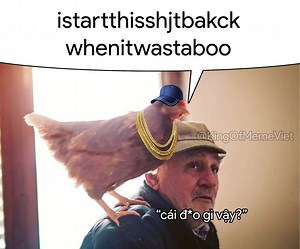 6K views · 445 reactions | Wut da heo~ | KING of MEME VIỆT | Facebook