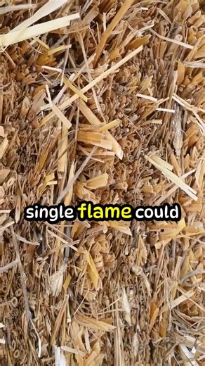 This Everyday Sound Once Meant Something Dangerous 🛎️ #History #Ritual