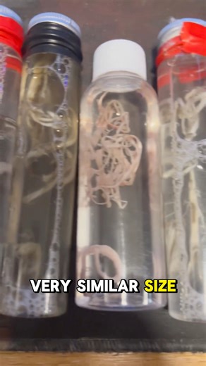 445K views · 12K reactions | John Olooney, a UK funeral director,...