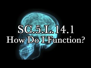 SC.5.L.14.1 How Do I Function?