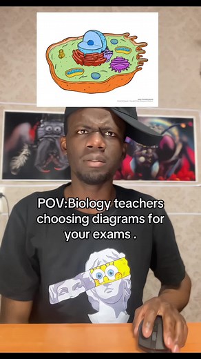 POV: Biology Teachers Choosing Diagrams for Your Exams