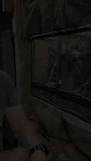 THE REPTARIUM - SPIDER POOP