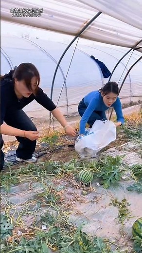 Today these two girls were caught stealing #shortvideo