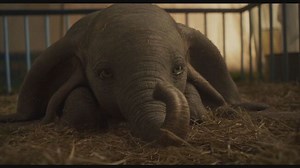 Trailer - Dumbo Video | Mediaset Infinity