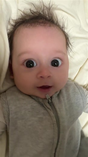 Understanding Short-Term Memory Loss: Dory's Journey